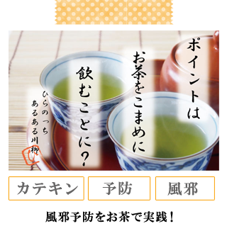 風邪予防をお茶で実践！