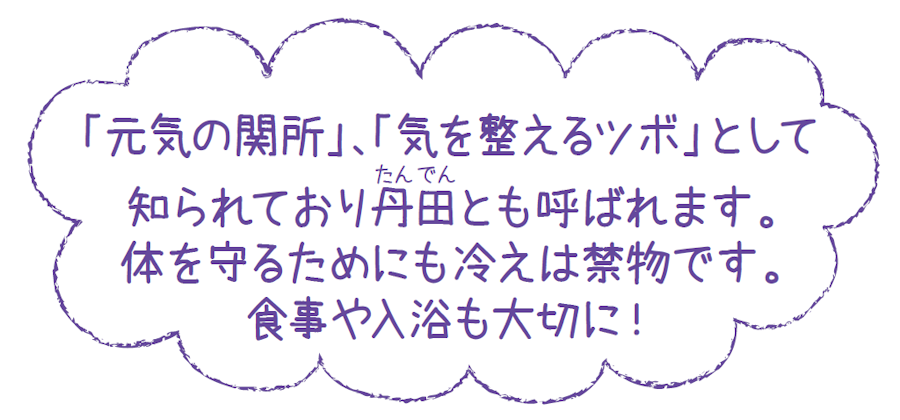 「元気の関所」、「気を整えるツボ」として知られており丹田とも呼ばれます。体を守るためにも冷えは禁物です。食事や入浴も大切に！